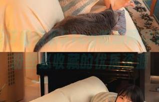 详细解析51cg吃瓜网精彩内容,粉丝必收藏的优质资源