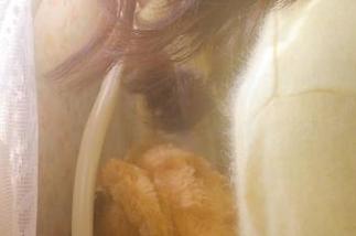 女生专属收藏版：51今日吃瓜爆料带你吃透娱乐圈风云