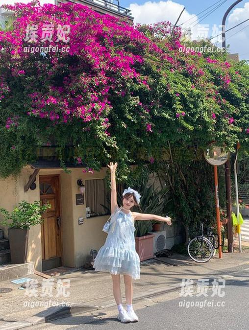 每日大瓜51吃瓜最新资源视频全收录