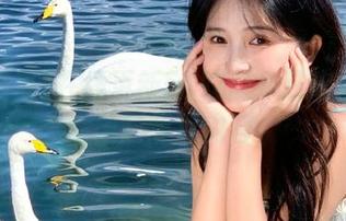 在线更新51吃瓜今日吃瓜网红黑料爆款内容