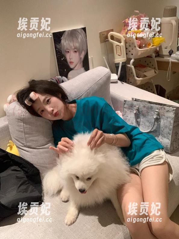 从零开始教你51吃瓜下载，轻松窥探热门娱乐内幕