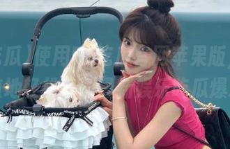 使用51吃瓜官网苹果版，随时随地轻松获取最新娱乐吃瓜爆料