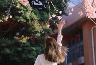 52吃瓜网app下载指南，轻松畅享全网瓜田趣事