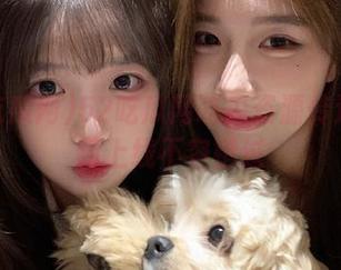 52吃瓜网吃瓜资源传送门全新上线不容错过