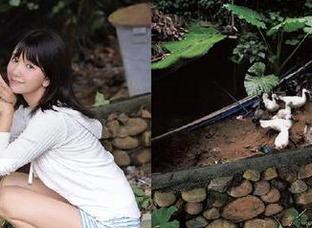 91吃瓜黑料爆料在线观看苹果版主演动漫游戏风采展示