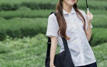 安卓版ccgg观看指南：畅享动漫游戏世界大餐