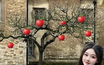 hl155.ccmiOS版客户端的官方网址及使用技巧