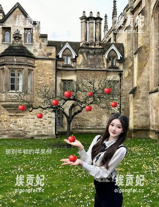 hl155 hl155.ccmiOS版客户端的官方网址及使用技巧