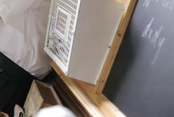 tttzzz传送门登录操作指南与最新内容抢先看