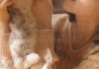 在线抢先看五一黑料爆料内容，热门链接实时推送