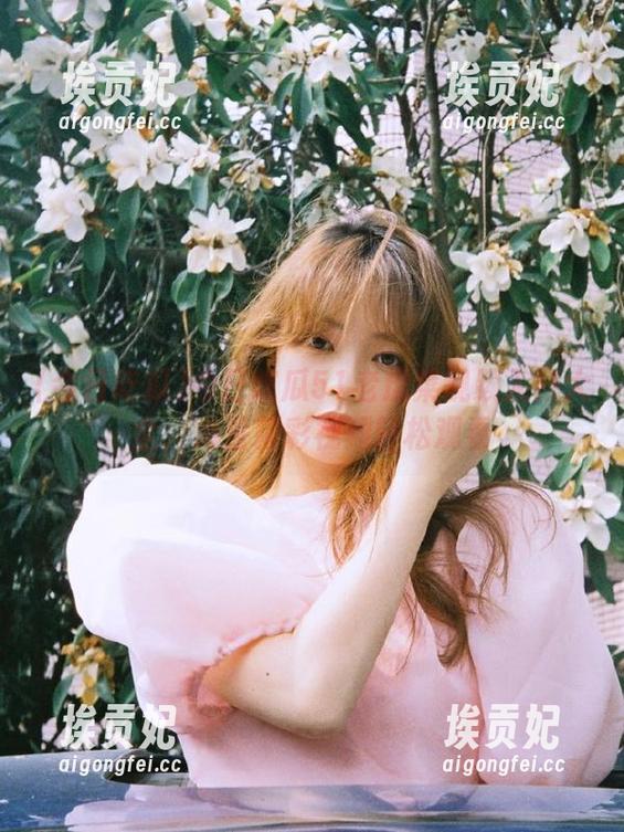 今日吃瓜51老虎菜视频入口大全，海量精彩视频轻松观看