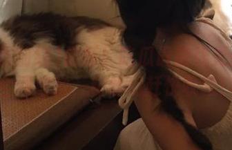 最新！吃瓜最前线更新地址全网首发，粉丝们赶快收藏！