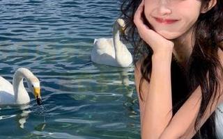 吾爱吃瓜回家的路，iOS平台助你永不迷路