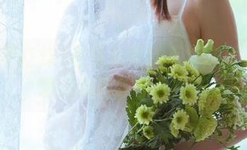 老司机黑料不打烊强势围观超值线路独家大揭秘