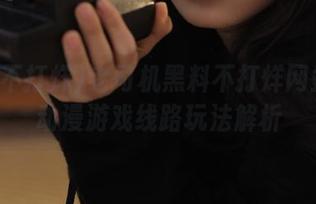 老司机黑料不打烊网站全新动漫游戏线路玩法解析