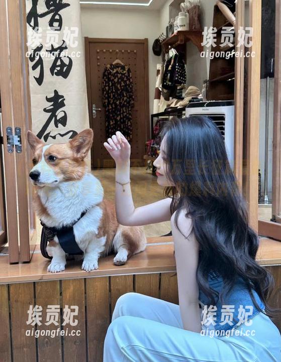 黑料不打烊万里长征篇最新曝光，分享第一时间更新的爆料内幕！