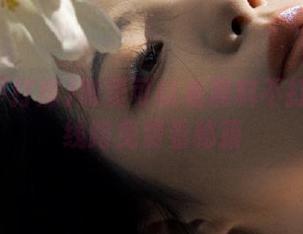 哪里可以看黑料不打烊最新线路免费看秘籍