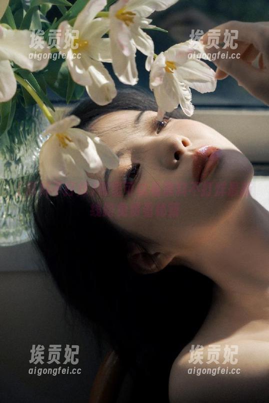 哪里可以看黑料不打烊最新线路免费看秘籍