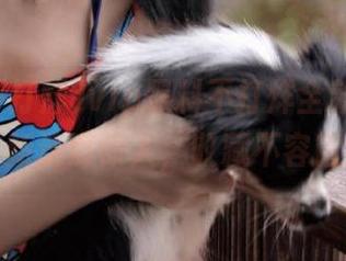 vip黑料不打烊全新升级，更新速度惊人，收藏不容错过