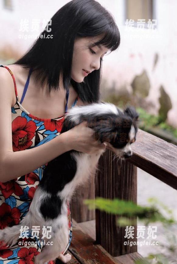 vip黑料不打烊全新升级，更新速度惊人，收藏不容错过