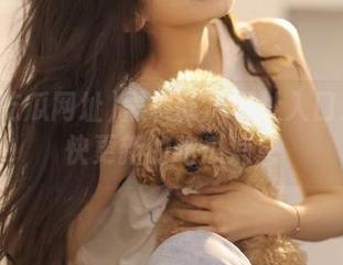 黑料吃瓜网址入口发布最快更新的吃瓜消息