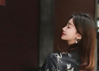 黑料正能量2025最新入口ios网页无广告高速访问