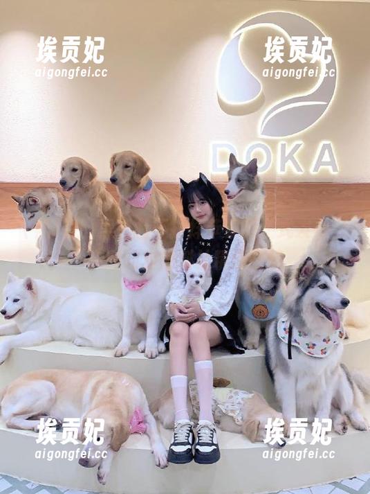 黑料社不打烊苹果版正式发布，实时同步黑料社精选链接