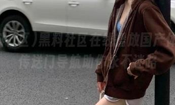 黑料社区在线播放国产体验,传送门导航助你永不迷路