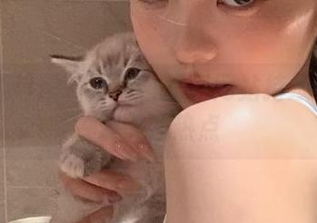 黑料网今日黑料网站持续更新网友关注热点