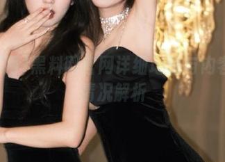 黑料网官网详细地址与内容更新情况解析