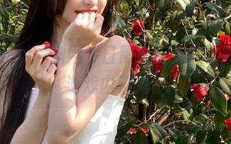 黑料网今日黑料直达，最新动漫游戏内幕揭秘