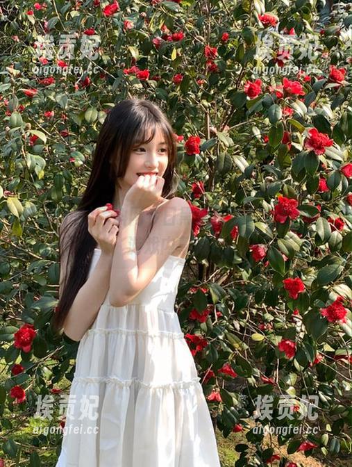 黑料网今日黑料直达，最新动漫游戏内幕揭秘