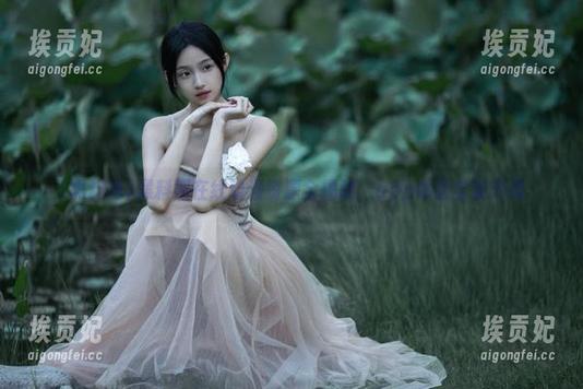 黑料网在线动漫资源全揭秘，app体验全新升级