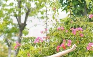 黑料网页版51导航助你快速定位最新爆料热点