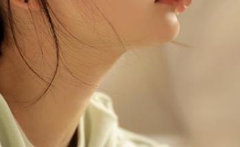 黑社料下载技巧详解，黑社料网页最新地址推荐