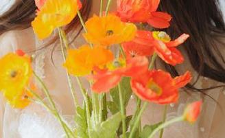 黑社料吃瓜必备,最全面的传送门和地址汇总